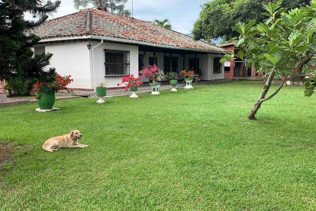 Villa Hermosa Y Tranquila Con Piscina *